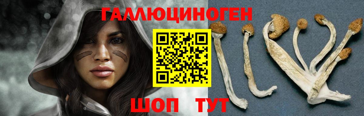 Гусиноозёрск  Псилоцибиновые грибы мицелий  Вход с VPN 